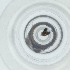  ( - PBRI_003_D1)  @11 [ ] by  Genome Research Ltd as Wellcome Sanger Institute Genome Research Limited operating as Wellcome Sanger Institute
