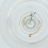  ( - PBRI_005_D12)  @11 [ ] by  Genome Research Ltd as Wellcome Sanger Institute Genome Research Limited operating as Wellcome Sanger Institute