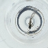  ( - PBRI_006_B3)  @11 [ ] by  Genome Research Ltd as Wellcome Sanger Institute Genome Research Limited operating as Wellcome Sanger Institute