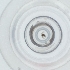  ( - PBRI_007_G7)  @11 [ ] by  Genome Research Ltd as Wellcome Sanger Institute Genome Research Limited operating as Wellcome Sanger Institute