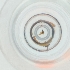  ( - PBRI_008_H11)  @11 [ ] by  Genome Research Ltd as Wellcome Sanger Institute Genome Research Limited operating as Wellcome Sanger Institute