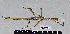  ( - PB-0049)  @13 [ ] CreativeCommons - Attribution Non-Commercial Share-Alike (2012) Paul Brock Unspecified