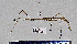  ( - PB-0076)  @13 [ ] CreativeCommons - Attribution Non-Commercial Share-Alike (2012) Paul Brock Unspecified