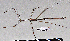  ( - PB-0089)  @13 [ ] CreativeCommons - Attribution Non-Commercial Share-Alike (2012) Paul Brock Unspecified
