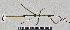  ( - PB-0092)  @13 [ ] CreativeCommons - Attribution Non-Commercial Share-Alike (2012) Paul Brock Unspecified