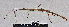  ( - PB-0092)  @13 [ ] CreativeCommons - Attribution Non-Commercial Share-Alike (2012) Paul Brock Unspecified