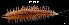  (Platynereis dumerili - LMBSAP25-001)  @11 [ ] Unspecified (default): All Rights Reserved  Unspecified Unspecified