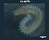 ( - LMBSCt12-001)  @11 [ ] Unspecified (default): All Rights Reserved  Unspecified Unspecified