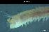  ( - LMBSCt12-003)  @12 [ ] Unspecified (default): All Rights Reserved  Unspecified Unspecified