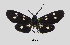 ( - MOBE101)  @11 [ ] by-nc-sa (2020) B. Mollet Unspecified