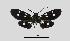  ( - MOBE102)  @11 [ ] by-nc-sa (2020) B. Mollet Unspecified