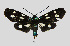 ( - MOBE103)  @11 [ ] by-nc-sa (2020) B. Mollet Unspecified