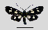  ( - MOBE104)  @11 [ ] by-nc-sa (2020) B. Mollet Unspecified