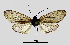  ( - MOBE124)  @11 [ ] by-nc-sa (2020) B. Mollet Unspecified