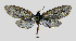  ( - MOBE130)  @11 [ ] by-nc-sa (2020) B. Mollet Unspecified