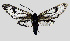  ( - MOBE1_209)  @11 [ ] by-nc-sa (2020) B. Mollet Unspecified