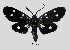  ( - MOBE1_219)  @11 [ ] by-nc-sa (2020) B. Mollet Unspecified