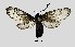  ( - MOBE1_344)  @11 [ ] by-nc-sa (2020) B. Mollet Unspecified