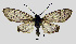  ( - MOBE1_384)  @11 [ ] by-nc-sa (2020) B. Mollet Unspecified