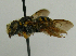  ( - PCHELA-E06)  @14 [ ] Copyright (2010) Timofey Levchenko Unspecified