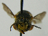  ( - PCHELA-E06)  @13 [ ] Copyright (2010) Timofey Levchenko Unspecified