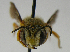  ( - PCHELA-E07)  @14 [ ] Copyright (2010) Timofey Levchenko Unspecified