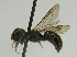  ( - PCHELA-H08)  @12 [ ] Copyright (2010) Timofey Levchenko Unspecified