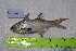  ( - STRI-X-6420)  @11 [ ] No Rights Reserved (2023) Unspecified Smithsonian Tropical Research Institute