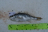  ( - STRI-X-6398)  @11 [ ] CreativeCommons  Attribution Non-Commercial Share-Alike (2023) Unspecified Smithsonian Tropical Research Institute