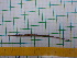  ( - STRI-X-6461)  @11 [ ] CreativeCommons  Attribution Non-Commercial Share-Alike (2023) Unspecified Smithsonian Tropical Research Institute