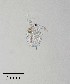  ( - PanCan-0070)  @11 [ ] by-nc-sa (2025) Smithsonian Tropical Research Institute Smithsonian Tropical Research Institute