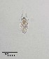  ( - PanCan-0070)  @11 [ ] by-nc-sa (2025) Smithsonian Tropical Research Institute Smithsonian Tropical Research Institute