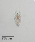  ( - PanCan-0070)  @11 [ ] by-nc-sa (2025) Smithsonian Tropical Research Institute Smithsonian Tropical Research Institute