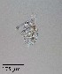  ( - PanCan-0070)  @11 [ ] by-nc-sa (2025) Smithsonian Tropical Research Institute Smithsonian Tropical Research Institute