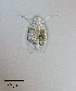  ( - PanCan-0072)  @11 [ ] by-nc-sa (2025) Smithsonian Tropical Research Institute Smithsonian Tropical Research Institute