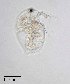  ( - PanCan-0083)  @11 [ ] by-nc-sa (2025) Smithsonian Tropical Research Institute Smithsonian Tropical Research Institute
