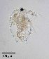  ( - PanCan-0083)  @11 [ ] by-nc-sa (2025) Smithsonian Tropical Research Institute Smithsonian Tropical Research Institute