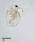  ( - PanCan-0083)  @11 [ ] by-nc-sa (2025) Smithsonian Tropical Research Institute Smithsonian Tropical Research Institute