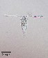  ( - PanCan-0084)  @11 [ ] by-nc-sa (2025) Smithsonian Tropical Research Institute Smithsonian Tropical Research Institute