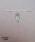  ( - PanCan-0084)  @11 [ ] by-nc-sa (2025) Smithsonian Tropical Research Institute Smithsonian Tropical Research Institute