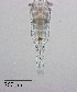  ( - PanCan-0084)  @11 [ ] by-nc-sa (2025) Smithsonian Tropical Research Institute Smithsonian Tropical Research Institute