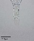  ( - PanCan-0084)  @11 [ ] by-nc-sa (2025) Smithsonian Tropical Research Institute Smithsonian Tropical Research Institute