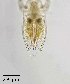  ( - PanCan-0099)  @11 [ ] by-nc-sa (2025) Smithsonian Tropical Research Institute Smithsonian Tropical Research Institute