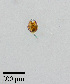  ( - PanCan-0134)  @11 [ ] by-nc-sa (2025) Smithsonian Tropical Research Institute Smithsonian Tropical Research Institute