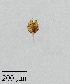  ( - PanCan-0134)  @11 [ ] by-nc-sa (2025) Smithsonian Tropical Research Institute Smithsonian Tropical Research Institute