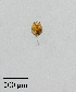  ( - PanCan-0134)  @11 [ ] by-nc-sa (2025) Smithsonian Tropical Research Institute Smithsonian Tropical Research Institute