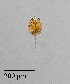  ( - PanCan-0134)  @11 [ ] by-nc-sa (2025) Smithsonian Tropical Research Institute Smithsonian Tropical Research Institute
