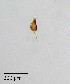  ( - PanCan-0134)  @11 [ ] by-nc-sa (2025) Smithsonian Tropical Research Institute Smithsonian Tropical Research Institute