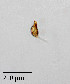  ( - PanCan-0134)  @11 [ ] by-nc-sa (2025) Smithsonian Tropical Research Institute Smithsonian Tropical Research Institute