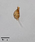  ( - PanCan-0134)  @11 [ ] by-nc-sa (2025) Smithsonian Tropical Research Institute Smithsonian Tropical Research Institute